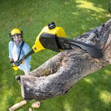 Best Tree Removal  in Mccla, AL